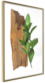 Poster  Forest Bouquet  Cornice Quadri Cornice d'oro, Larghezza x Altezza Home decor 30x45