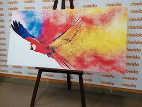 Stampa su tela – Volo di pappagallo