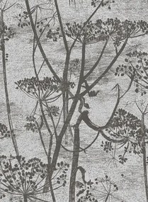 Cole & Son Carta da parati Cow Parsley - Gilver on Black