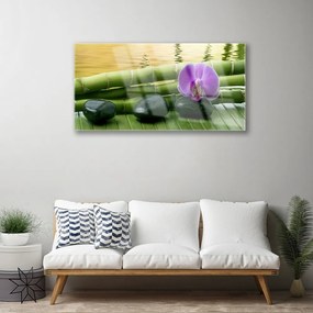 Quadro di vetro Pietre di fiori Bambù Natura 100x50 cm