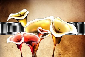 Carta da parati – Fiori eleganti di calla