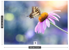 Carta da parati Farfalla echinacea 104x70 cm