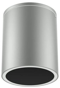 Applique da soffitto Cilindrica PAR30 IP54 in Alluminio e Vetro - Grigia Colore del corpo Grigio