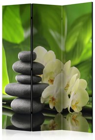 Paravento design Giardino Spa - orchidee e pietre orientali su sfondo naturale