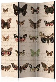 Paravento Retro Style: Butterflies [Room Dividers]
