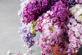 Stampa su tela – Lilla in tonalità rosa