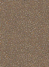 Cole & Son Carta da parati Senzo Spot - Charcoal/ Orange