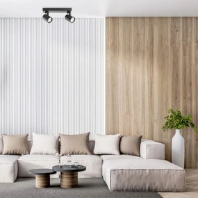 Faretto LYNX 2xGU10/10W/230V nero