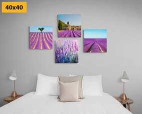 Set di quadri – Campo di lavanda