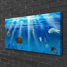 Foto quadro su tela Pesce della natura 100x50 cm