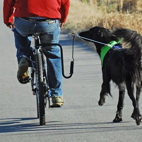 Springer kit ginnico per bicicletta per cani