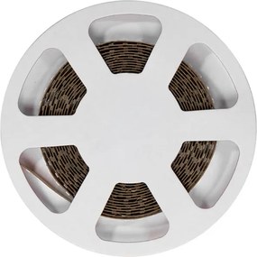 Striscia LED 24V 144W/m Luce Arancione - IP54 - 5 metri