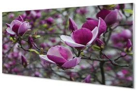 Pannello paraschizzi Magnolia viola 100x50 cm