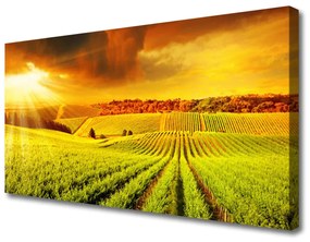 Quadro su tela Paesaggio del campo al tramonto 100x50 cm