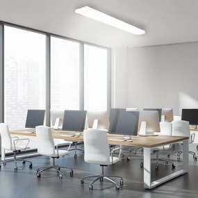 LED Dimmerabile fluorescente chiaro LED/35W/44W/52W/60W/230V 4000K 120 cm