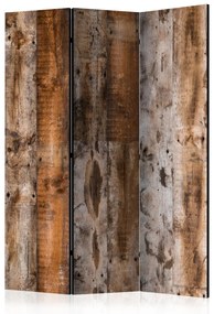 Paravento separè Legno antico - texture di tavole di legno naturalmente marroni