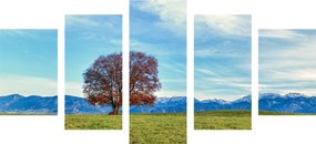 Quadri 5 pezzi – Panorama montano