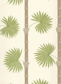Paint & Paper Library Carta da parati Hardy Palm - Sand 3