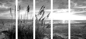 Quadri 5 pezzi – Tramonto sulla spiaggia in bianco e nero