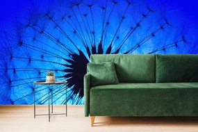 Carta da parati – Soffione blu