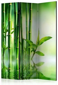 Paravento Bamboo Grove [Room Dividers]