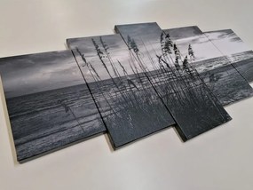 Quadri 5 pezzi – Tramonto sulla spiaggia in bianco e nero