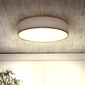 Brilagi - Lampada da soffitto dimmerabile CARMEN LED/48W/230V 3000-6500K + DO