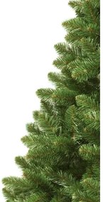 Albero di Natale 250 cm abete