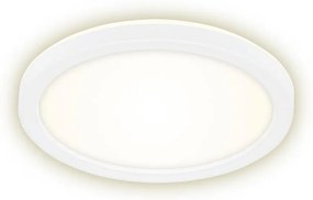 Briloner 7150-416 - Plafoniera LED SLIM LED/12W/230V d. 19 cm
