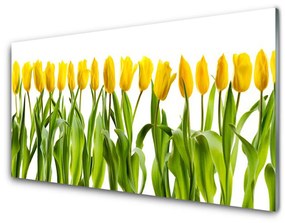 Quadro acrilico Tulipani, fiori, natura 100x50 cm