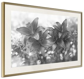 Poster  Dark Lillies  Cornice Quadri Cornice d'oro con passe-partout, Larghezza x Altezza Home decor 30x20