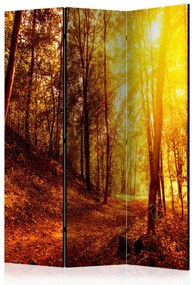 Paravento design Passeggiata Autunnale - Paesaggio dorato di alberi