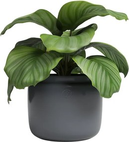 Vaso in ceramica fatto a mano ø 20 cm Astrea - Artevasi