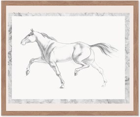 Stampa digitale incorniciata Single Horse, varie misure