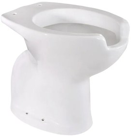 Vaso WC filomuro per persone disabili scarico pavimento, sedile escluso P 52.5 x L 38 x H 49 cm bianco lucido