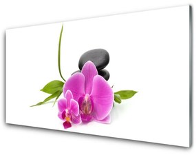 Pannello paraschizzi cucina Pianta di pietre di fiori 100x50 cm