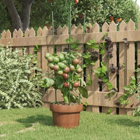 Supporti Piante Da Giardino Con 3 Anelli 5pz Verde 60cm Acciaio /