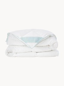 Piumino normale in piuma d'oca quattro stagioni Comfort
