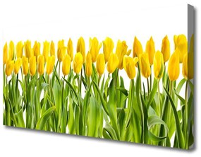 Quadro su tela Tulipani, fiori, natura 100x50 cm