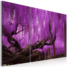 Quadro Wisteria  Colore Viola, Dimensioni e Misure 60x40