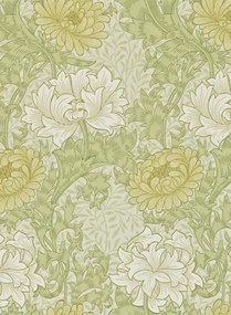 Morris & Co Carta da parati Chrysanthemum - Pale Olive