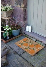 Zerbino in fibre di cocco 40x60 cm Orange – Artsy Doormats