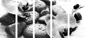 Quadri 5 pezzi – Armonia di pietre e orchidea in bianco e nero