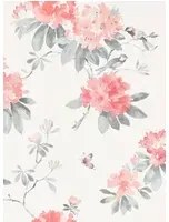 Florale Tapete Rhodera von Sanderson - Coral/ Grey