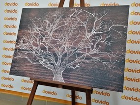 Stampa su tela – Corona dell'albero su sfondo di legno