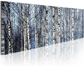 Quadro Betulle bianche  Colore Azzurro, Dimensioni e Misure 120x40