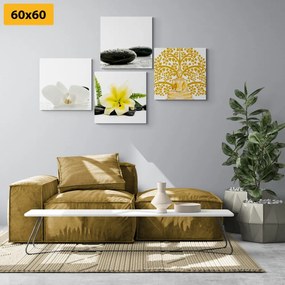 Set di quadri – Natura morta Feng Shui delicata