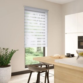 Tenda a rullo giorno / notte INSPIRE Line bianco 65x190 cm
