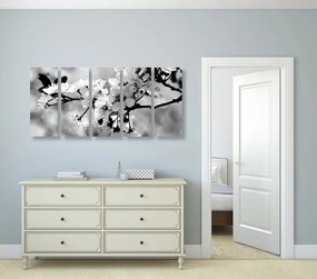 Quadri 5 pezzi – Fiore di ciliegio in bianco e nero