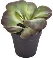 Set 2 Kalanchoe Succulent Artificiale con Vaso Altezza 16,5 cm Verde